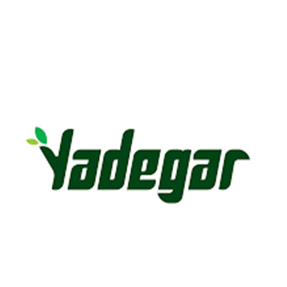 1675854940_یادگار-پخش-گیلان-زمین
